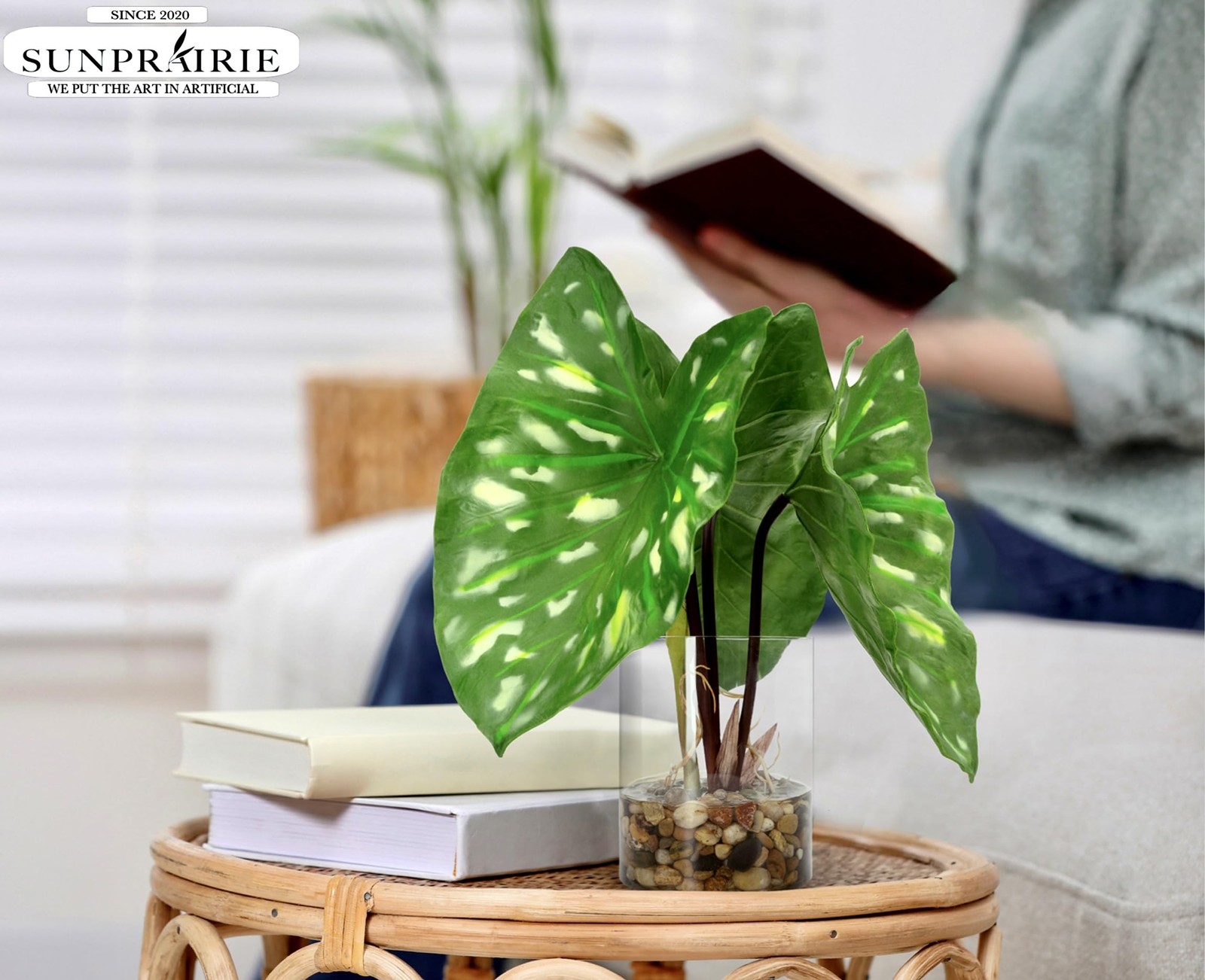 Tropical Artificial Plant in Clear Pot with Artificial Water, Wide Arrowhead …