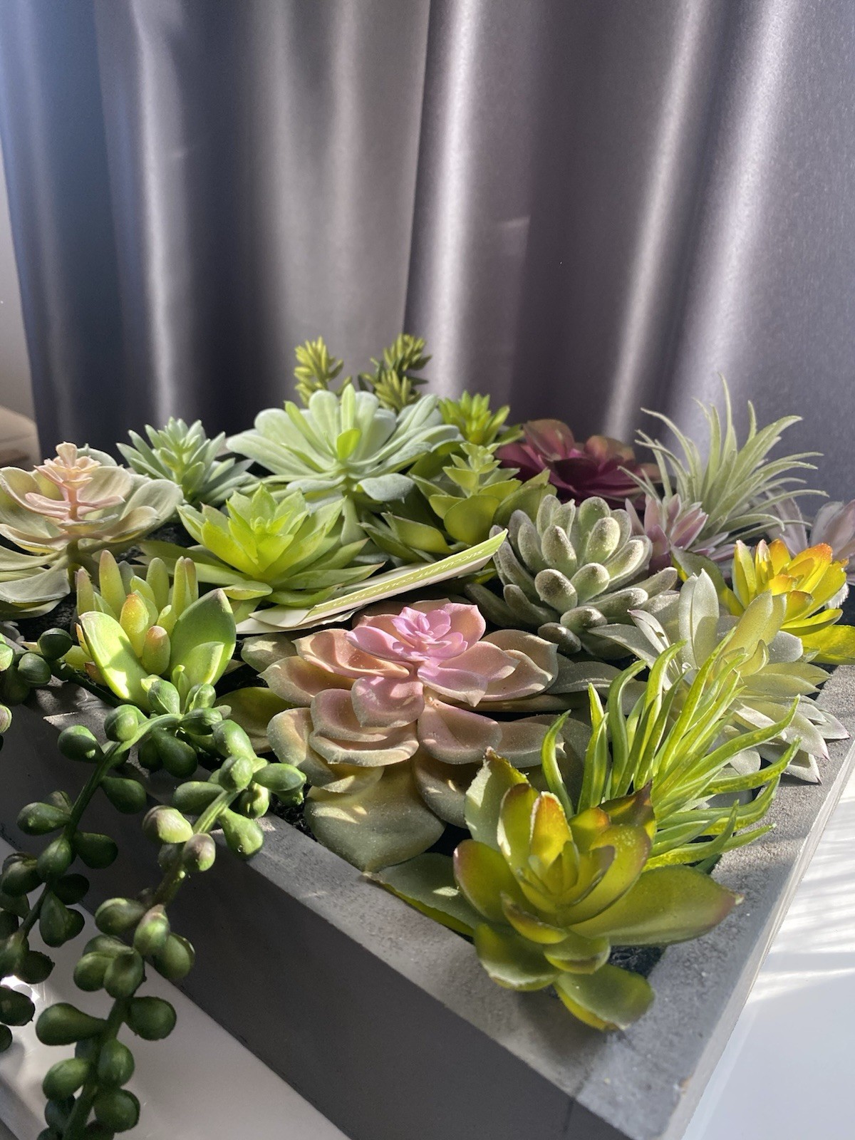 WALL OF FAUX SUCCULENTS in Gray Wood Box Decor Display 12x11x3 inches Art