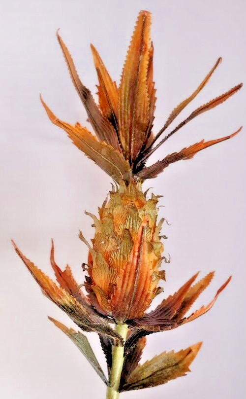 Decorative fall-colored ANANAS (pineapple) flower silk floral stems