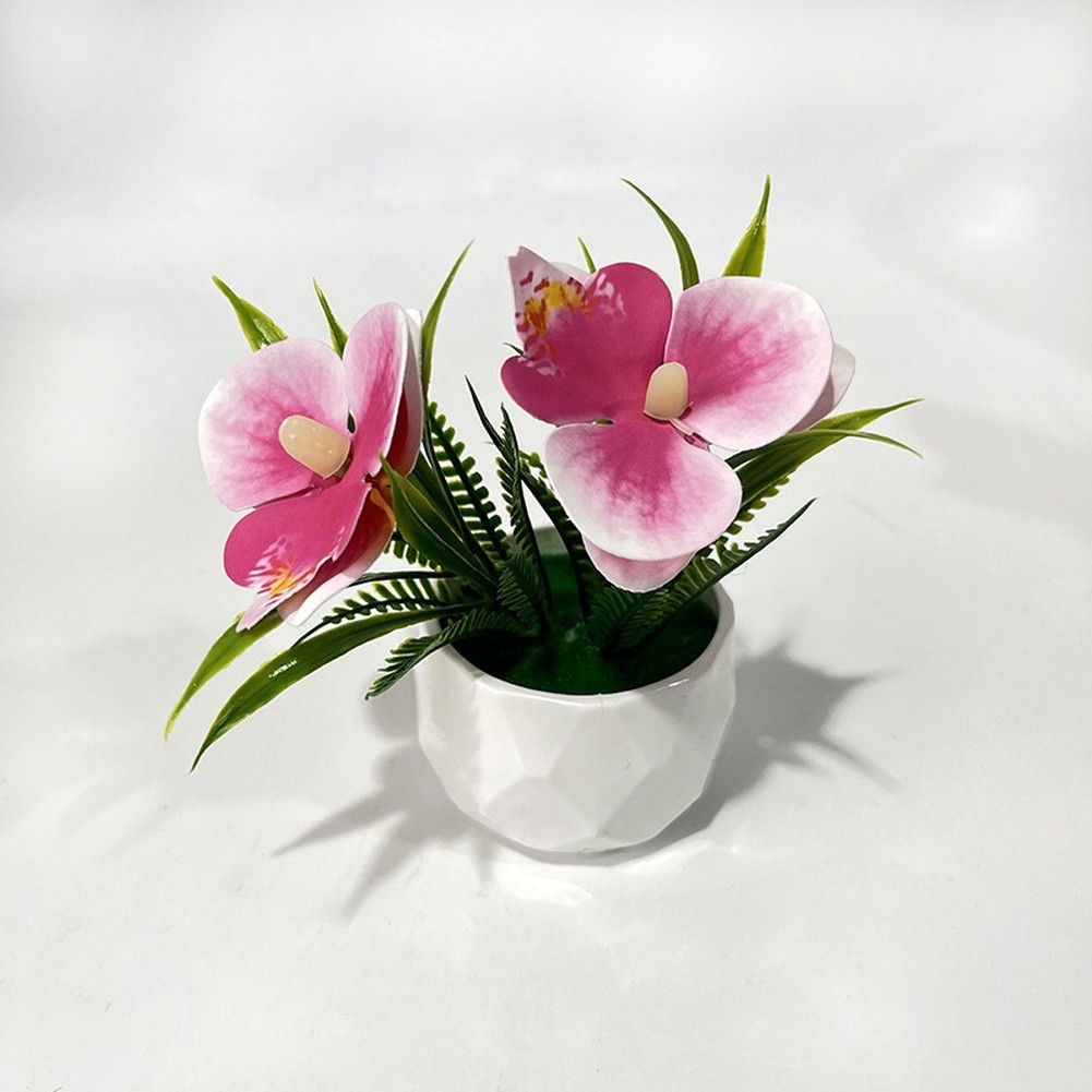Non Fading Phalaenopsis Orchid Plant 4.92in for Year Round Indoor Decor