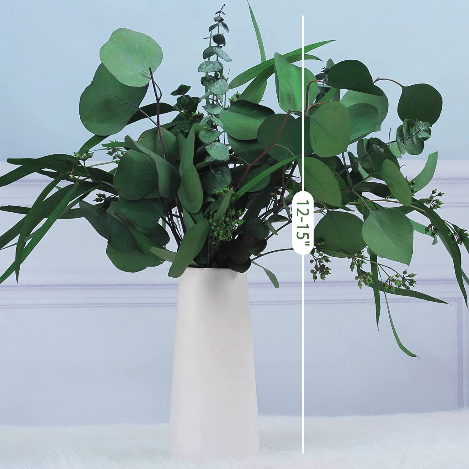 Real Dried Eucalyptus Leaves Stems, Silver Dollar and Seeded Mixed, 12Pcs