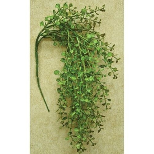 New Primitive Farmhouse BABY TEARS TRAILING STEM Bush Pick Branch Greenery