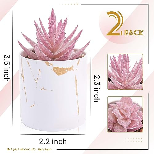 Set of 2 Succulents Plants Artificial Mini Fake Succulents Plants for Office