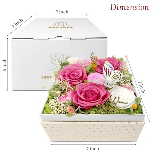 HipTree Preserved Pink & White Rose with Butterfly – Forever Eternal Real Austin