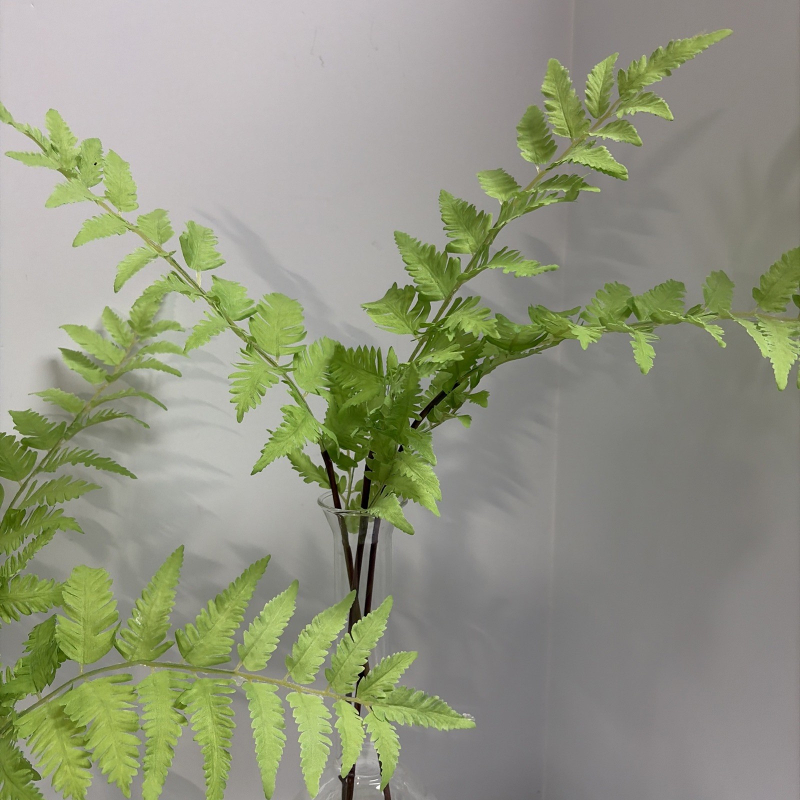 Uttermost Country Ferns and Glass Vases (Set of 2)