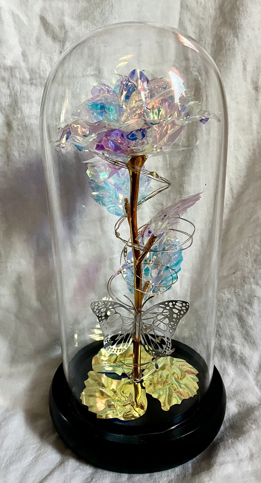 Eternal Rose In Dome With Fairy Lights Batteries Included Best Wishes Boxed Gift