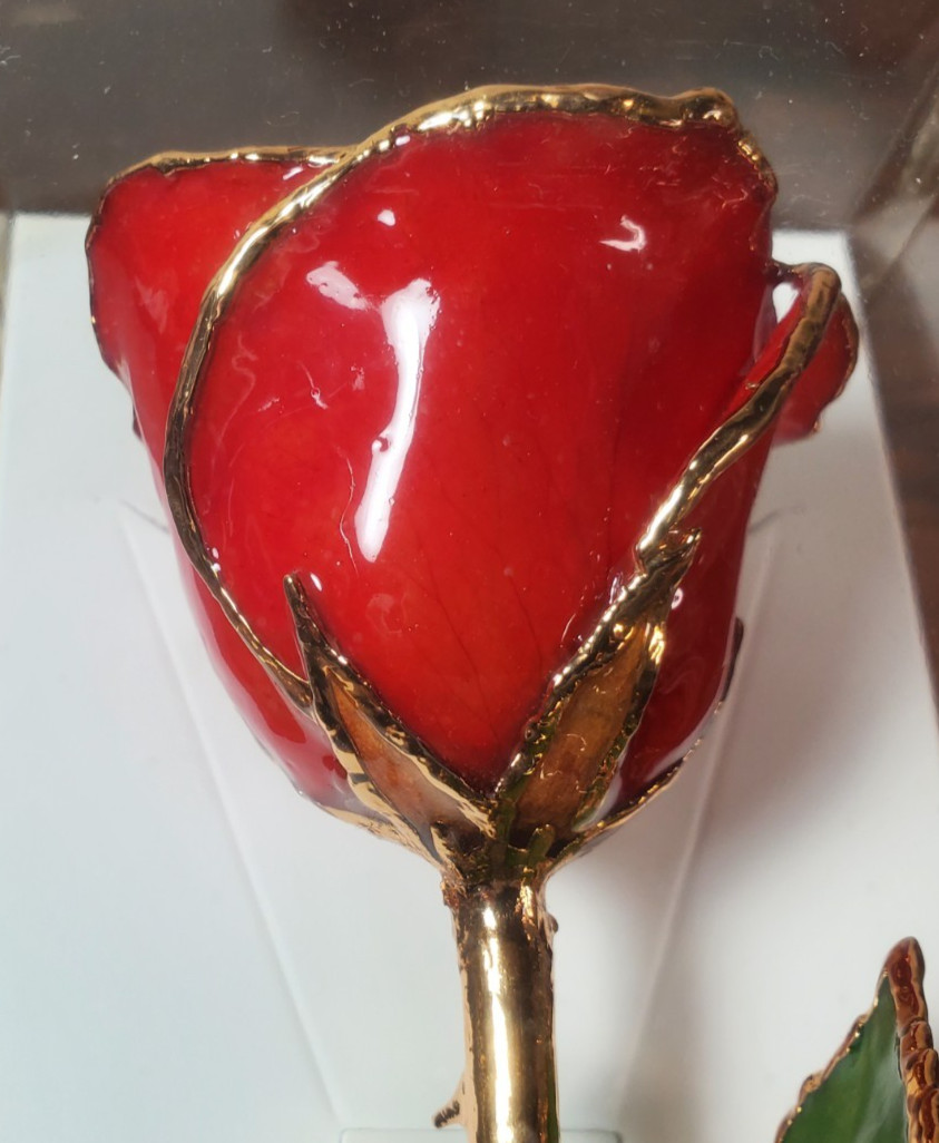 The Rose Lady, Red Rose Trimmed In 24KT Gold Preserved In Lacquer New In Box