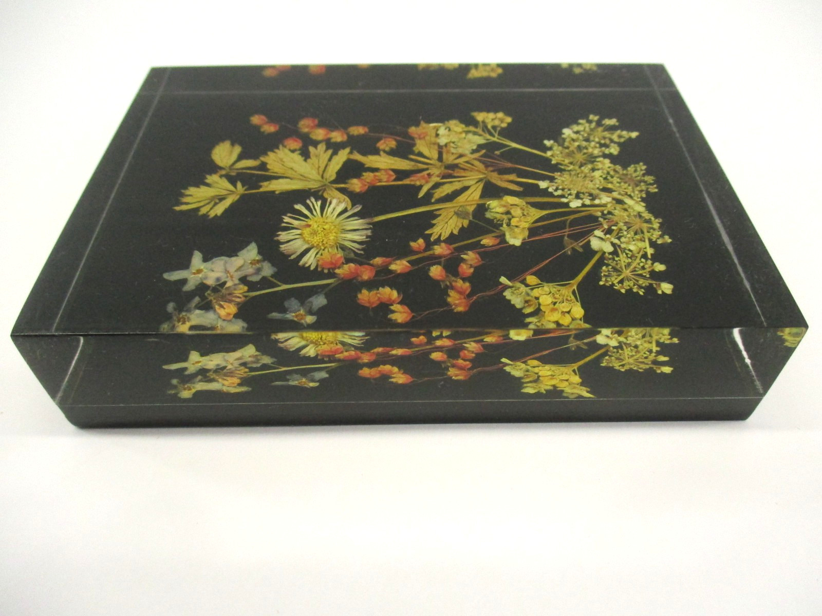 Vtg Lucite Pressed Dried Flowers DINA-Brilliant #1710 10×7 cm W. Germany Picture