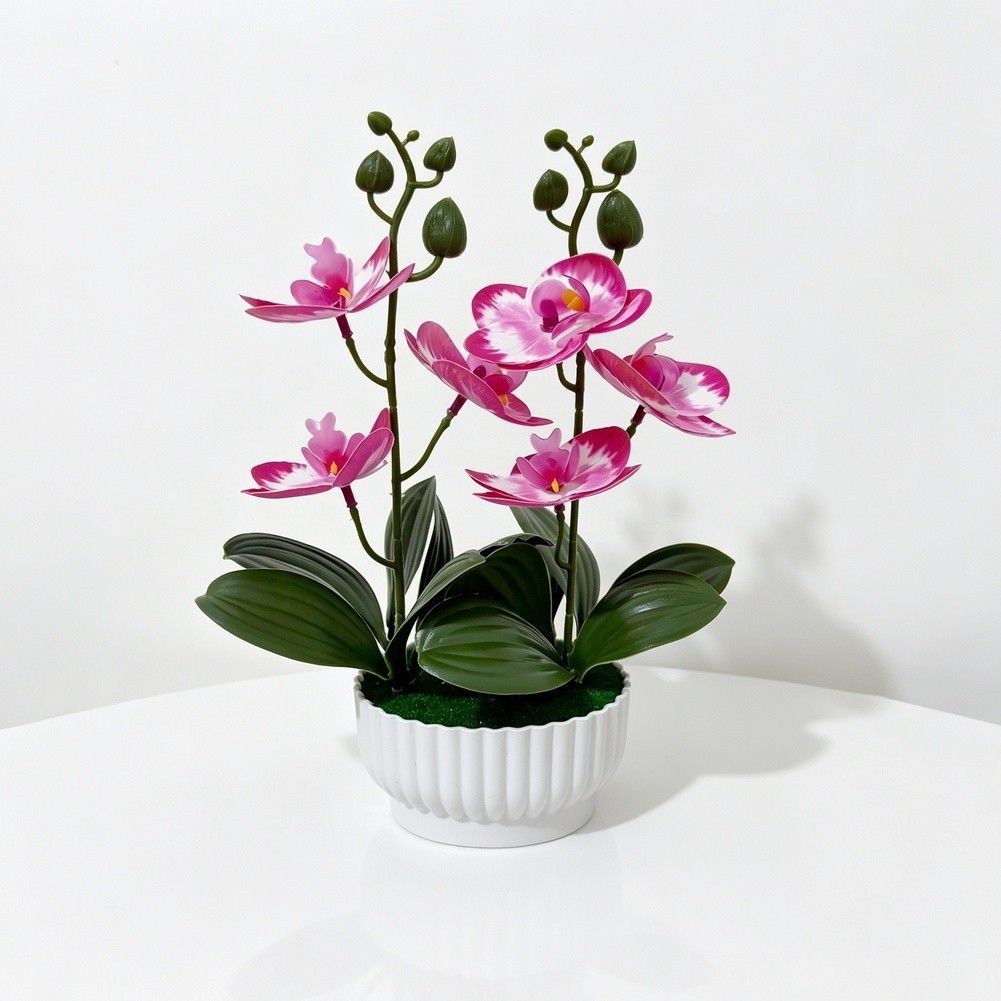 Imitation Orchid Plant with 6 Blooms 6 Leaves in Pot 26cm Indoor Decor