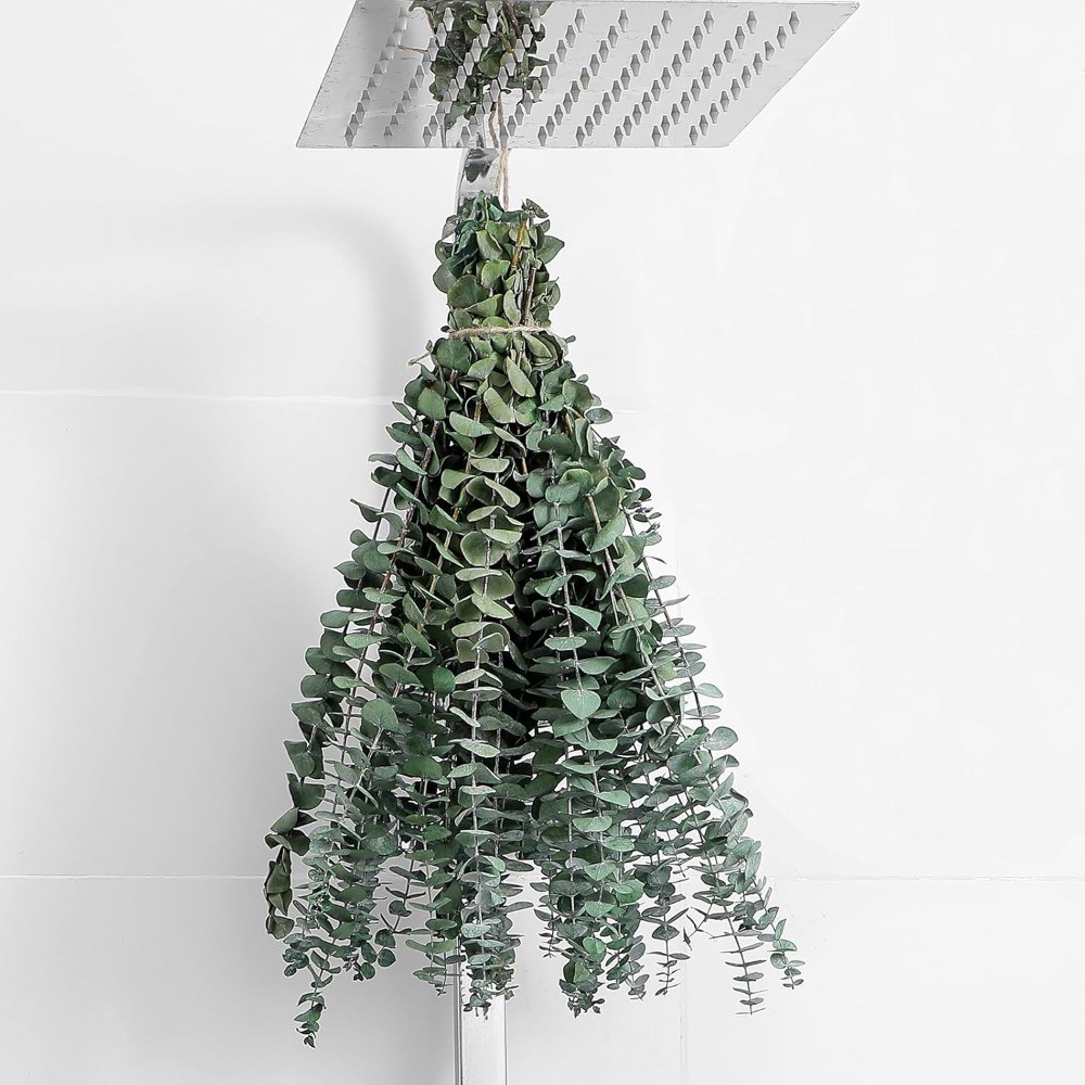 10 Pcs Dried Eucalyptus Stems 17″ Real Eucalyptus for Shower Hanging 100% Made