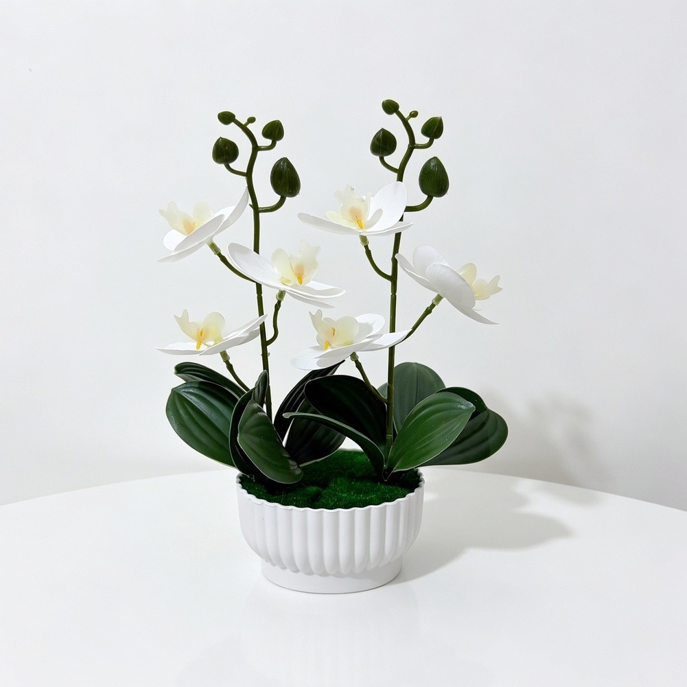Imitation Orchid Plant with 6 Blooms 6 Leaves in Pot 26cm Indoor Decor