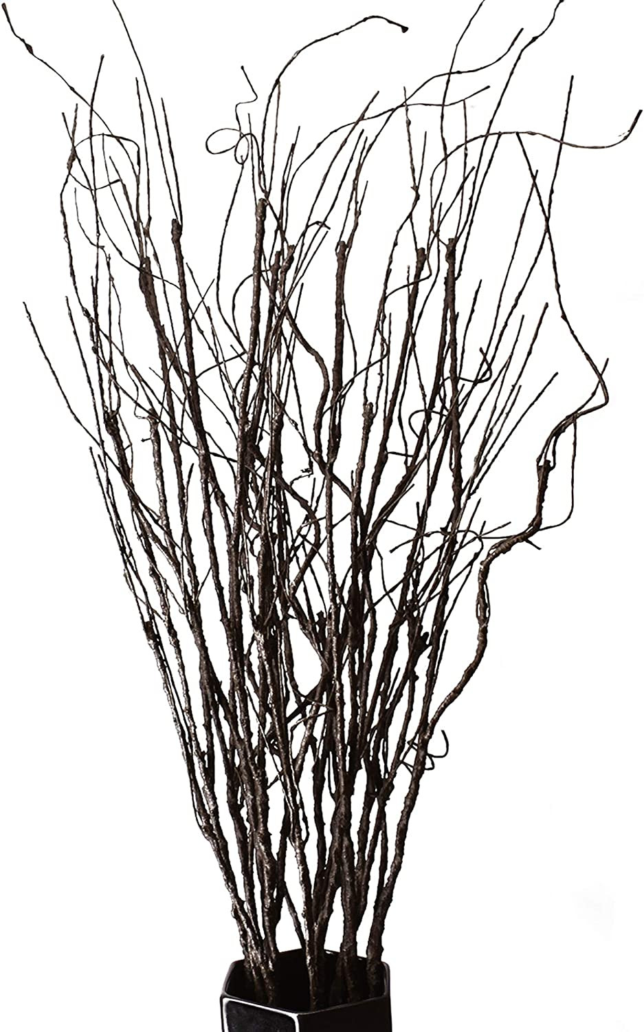 10PCS Lifelike Curly Willow Branches Decorative Dried Artificial Twigs, 30.7 Inc