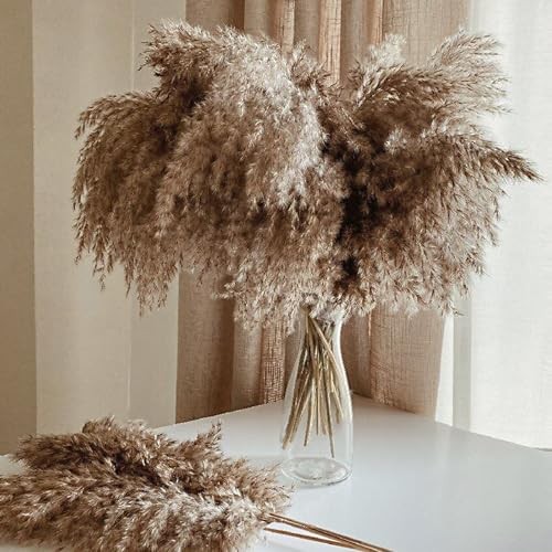 30 Stems Home Decor – Natural Dried Pampas Grass, Fluffy Brown 30brown-17 Inch