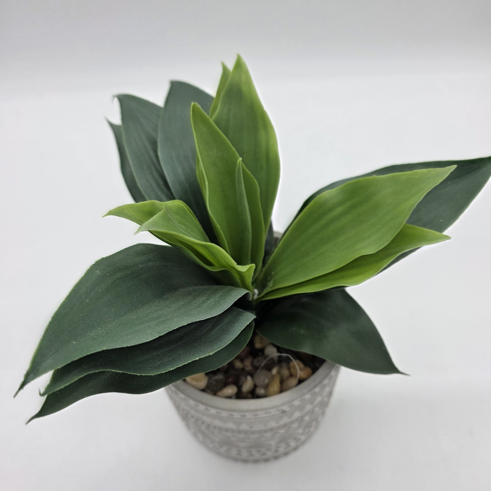 Artificial Green Plant in Gray Patterned Pot Faux Desk Shelf Home Decor
