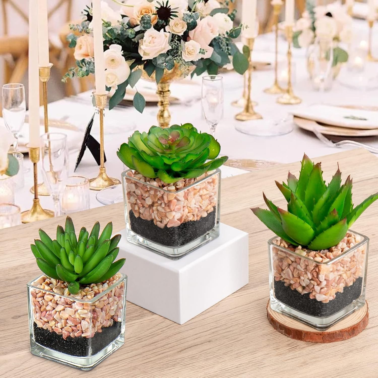 Set Of 3 Succulents Plants Artificial In Glass Pots Small Fake Succulents Plants