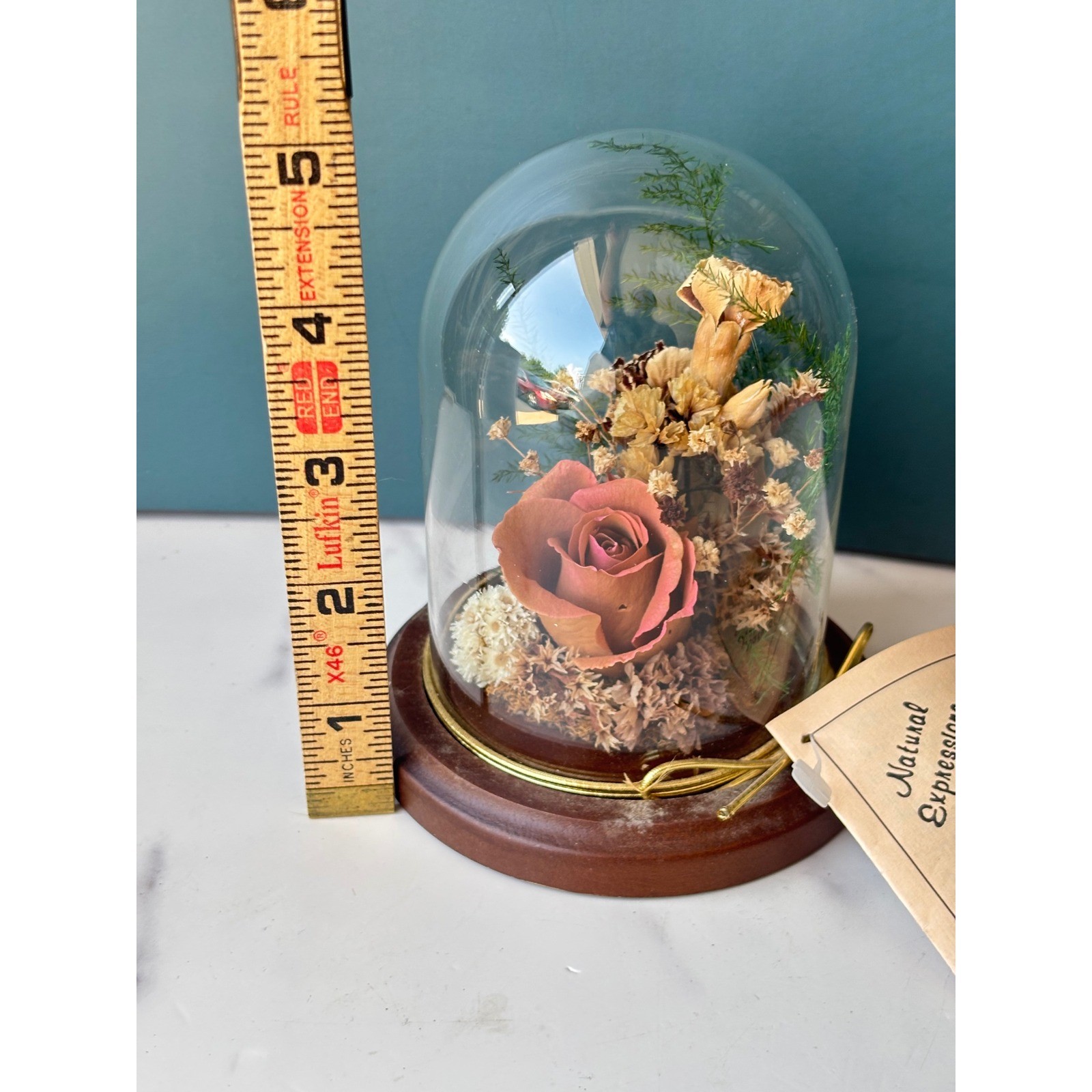 Natural Expressions Dried Flower Glass Cloche Wood Base Preserved Pink Rose 5in