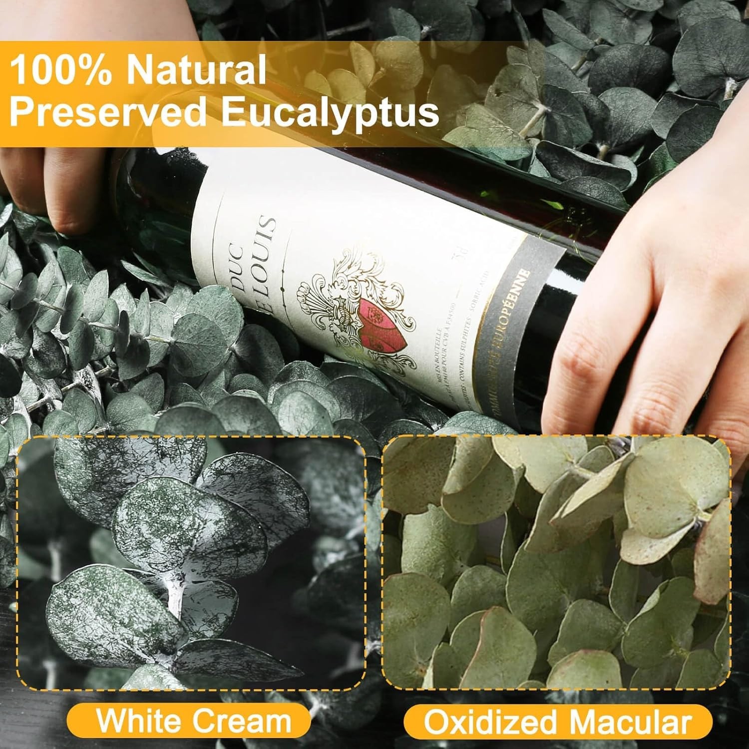 12 PCS Eucalyptus Shower Stems – Natural Aroma for Spa-Like Experience