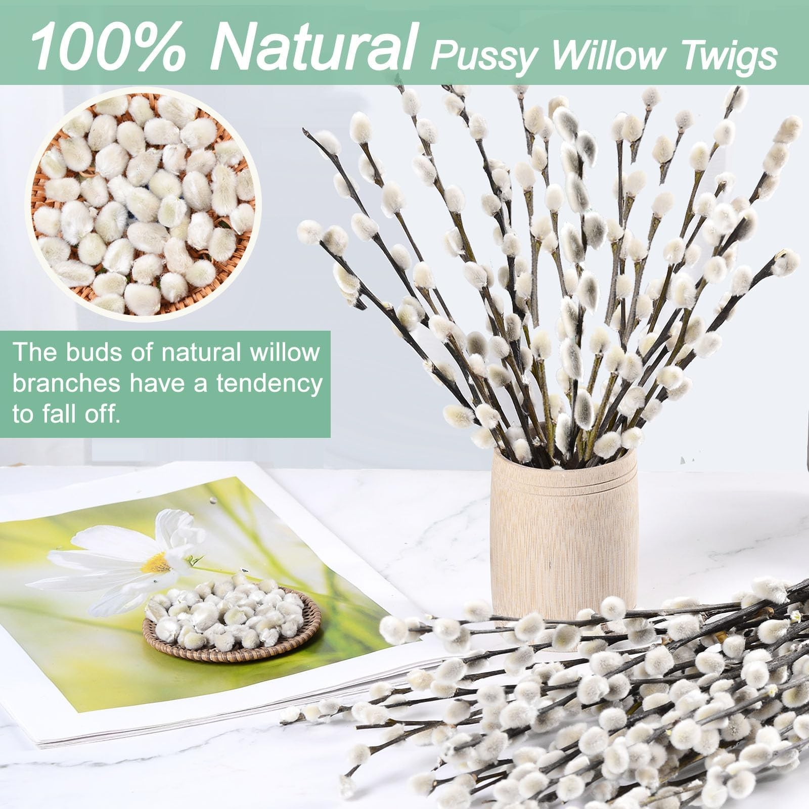 35 Pcs 16 in Real Willow Branches Natural White Snow Willow Branche