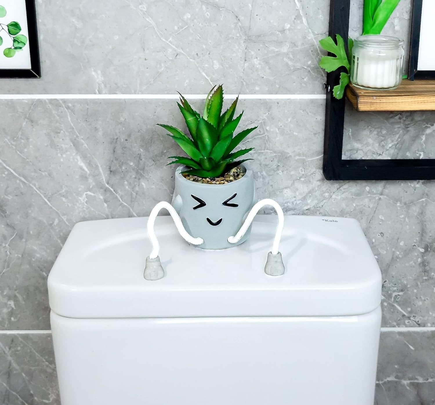 Fun Succulent Shelf Decor – Low-Maintenance Fake Plants for Office Aesthetics