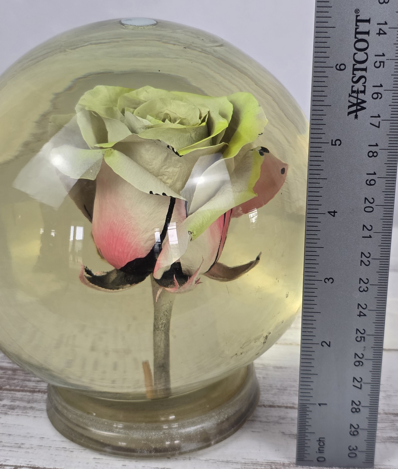 Vintage Forever Yellow/Pink Rose In Glass Ball Water Dome Globe Large 6.5″
