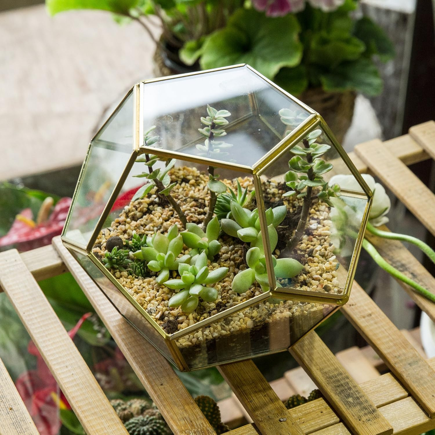 No Door Glass Terrarium for Small Cactus, Succulents – Gold Geometric Terrarium