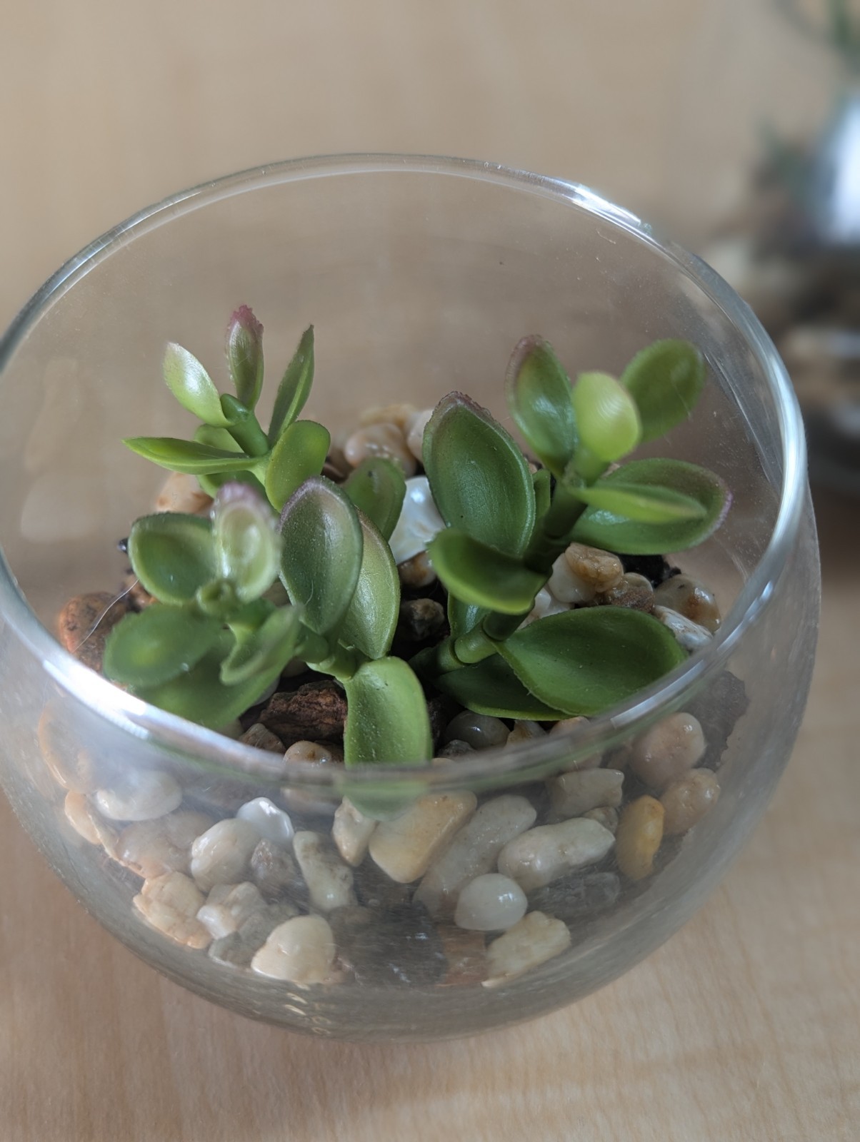 Set Of 4 Glass Bowls With Faux Succulents Pebbles Dirt 3″X3″