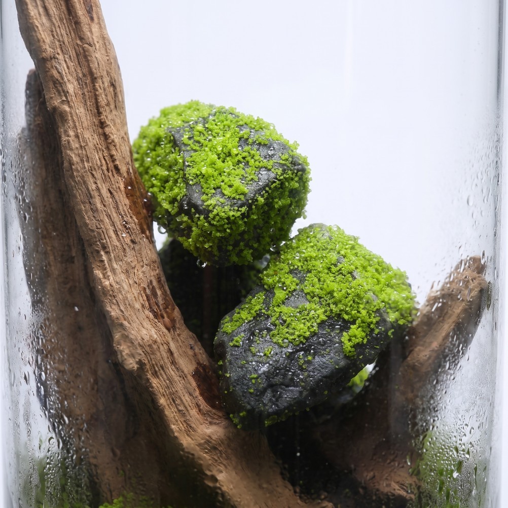 10 Pcs Fish Tank Landscape Ornament Artificial Rocks for Aquarium