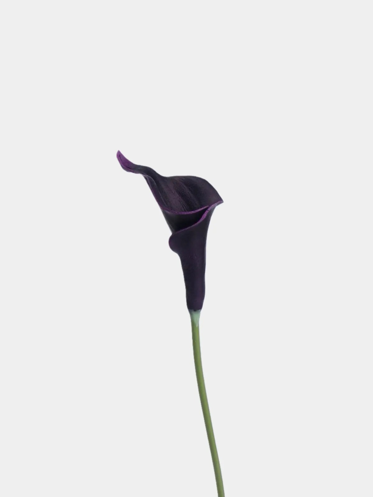 Bundle Of 3 Real Touch Faux Calla Lily Stem –Dark Purple 20.9″
