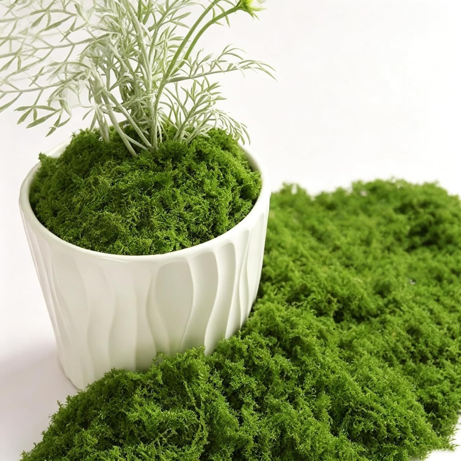 Artificial Green Moss Mat 200g Faux Moss for Terrariums Bonsai Fairy Garden