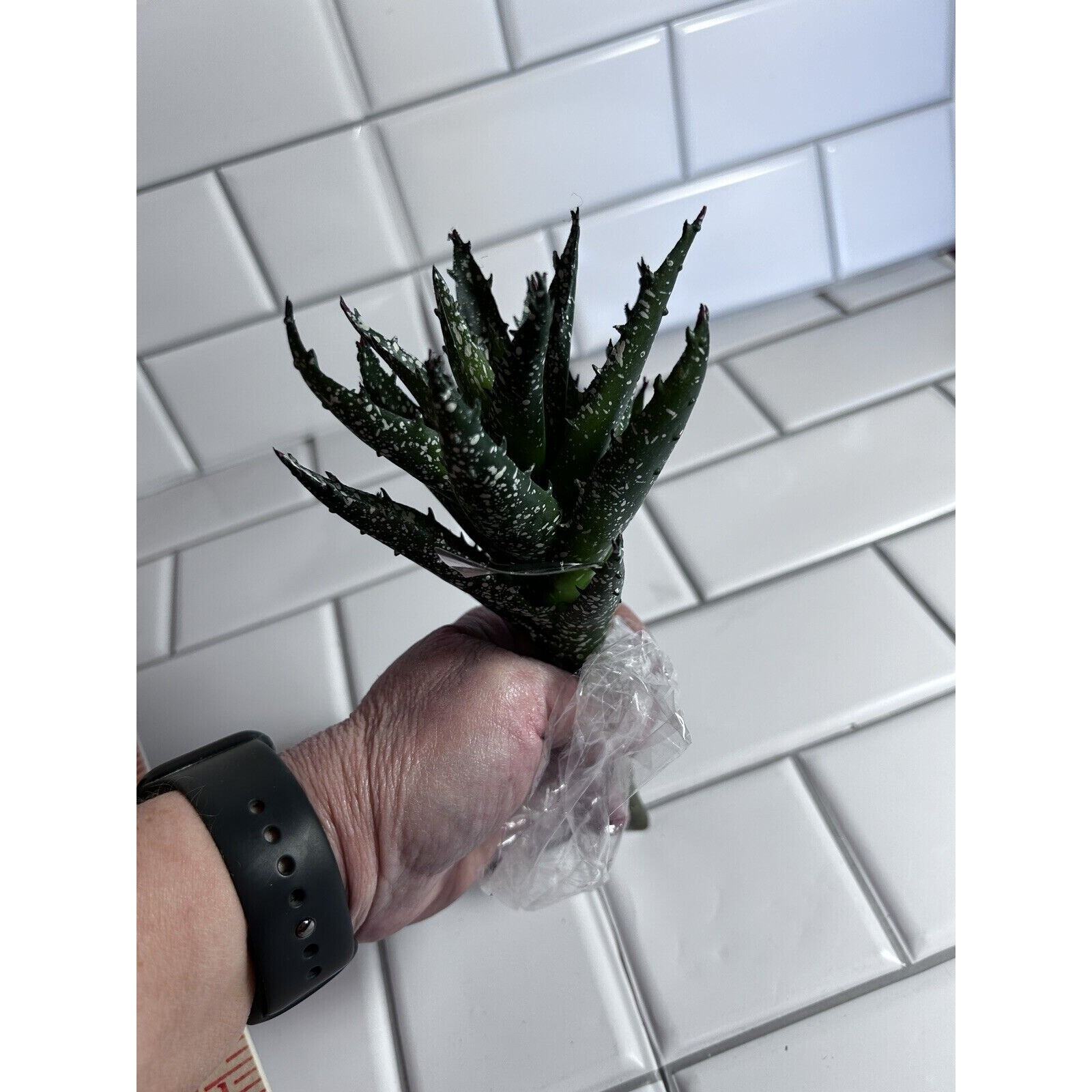 6 Various Artificial Succulents Faux Succulent Plants Home Garden Decor