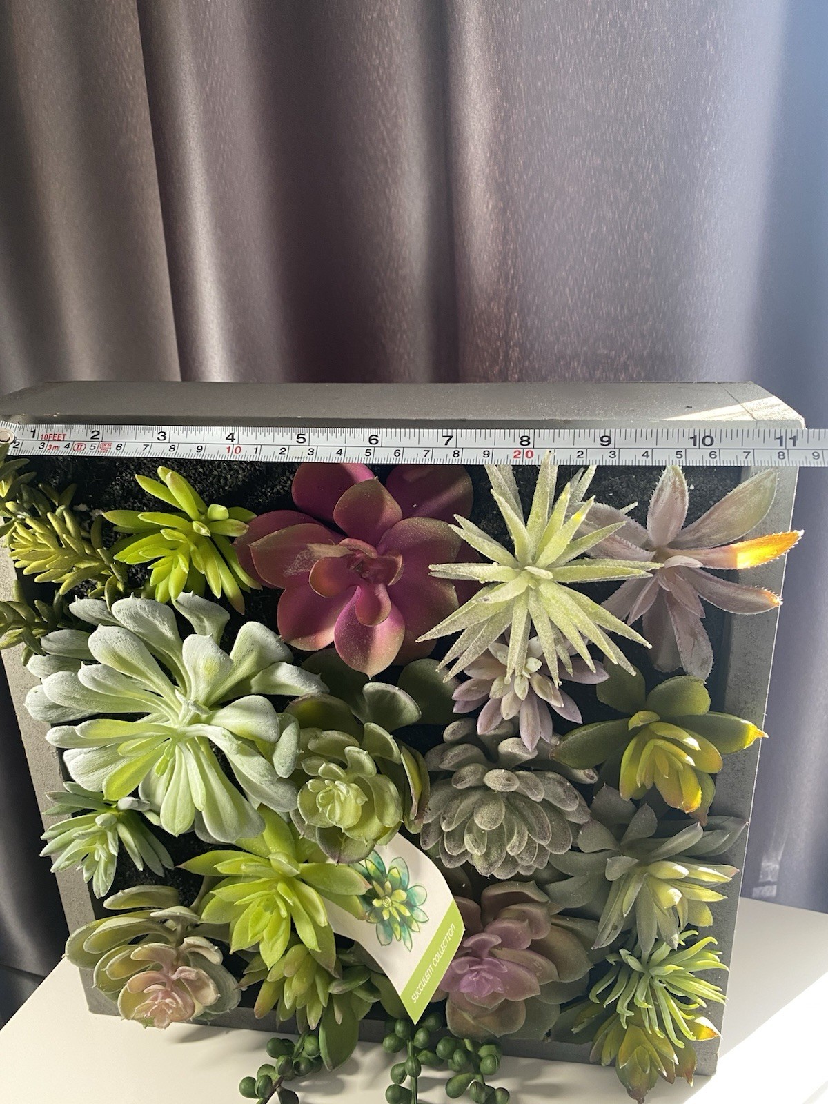 WALL OF FAUX SUCCULENTS in Gray Wood Box Decor Display 12x11x3 inches Art