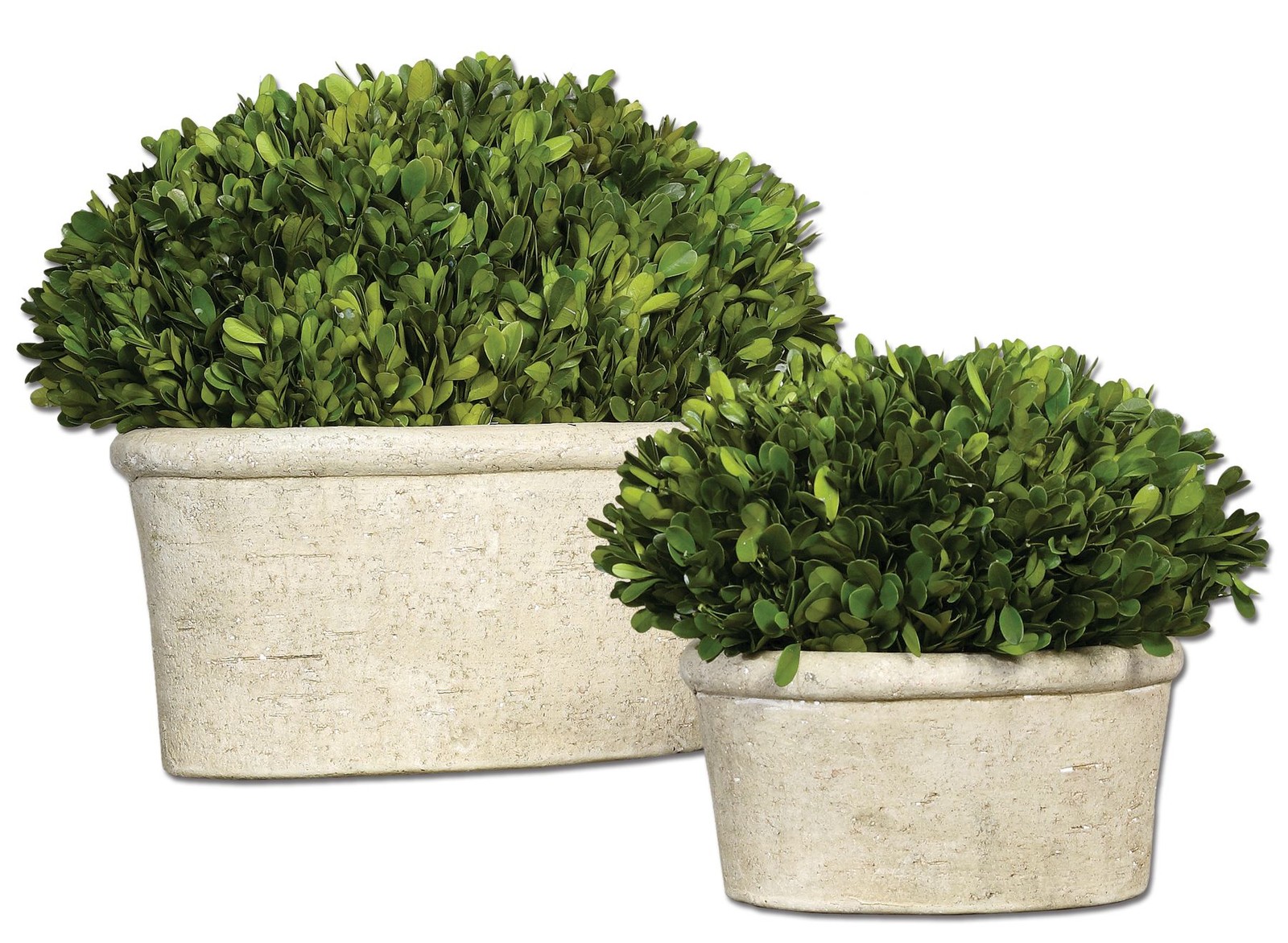 Oval Globe Topiary Pot Set | Preserved Boxwood Greenery European