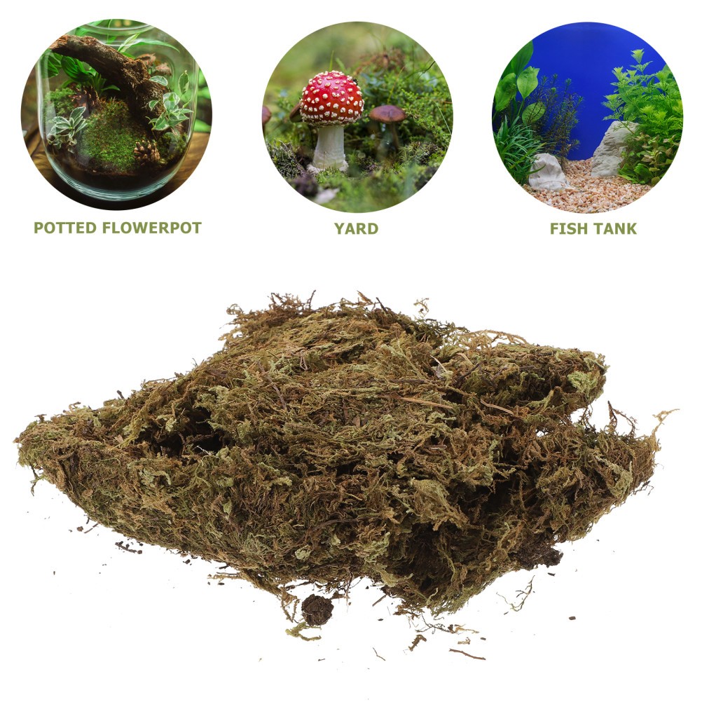 2 Packs Gardening Dried Moss Natural Moss for Flowerpot Moss Landscaping