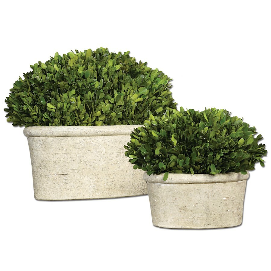 Uttermost Oval Domes Preserved Boxwood Set of 2 – 60107