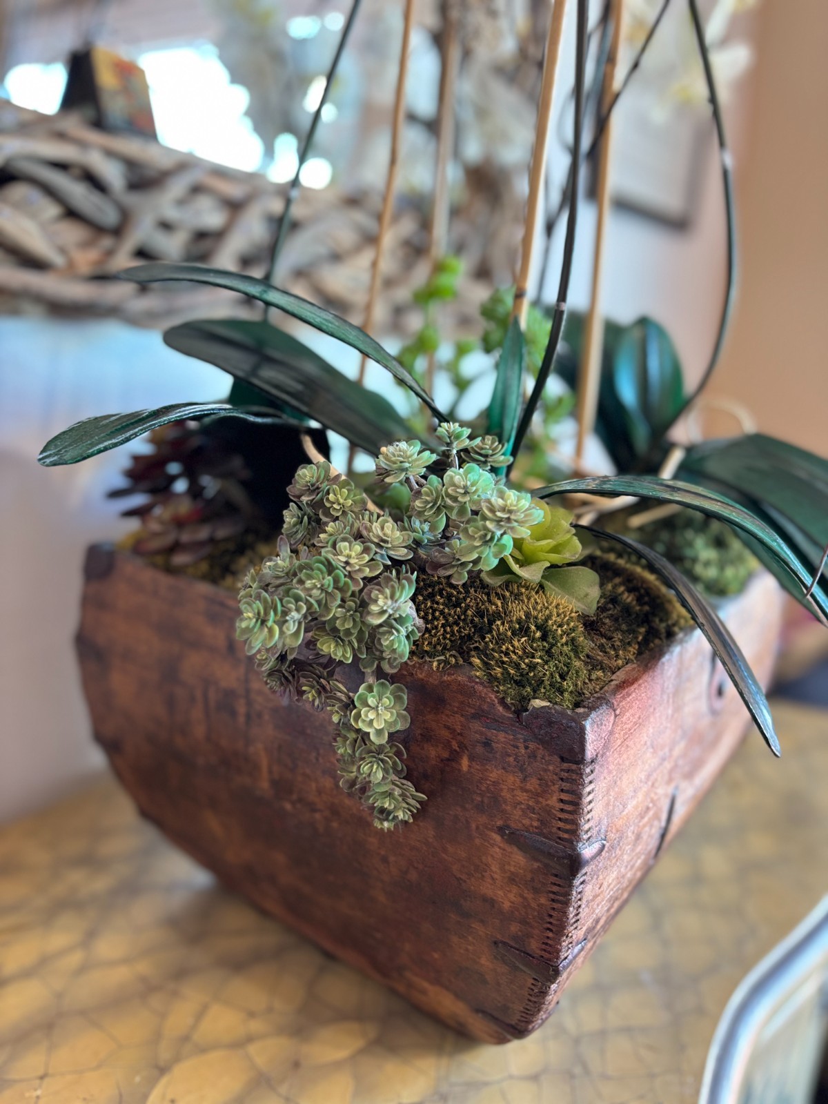White Orchid Succulent Moss Faux Plant Arrangement