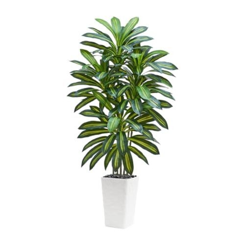 Artificial Dracaena Tree – Fake Tree with White Tall 5FT 1 Green-white Pot