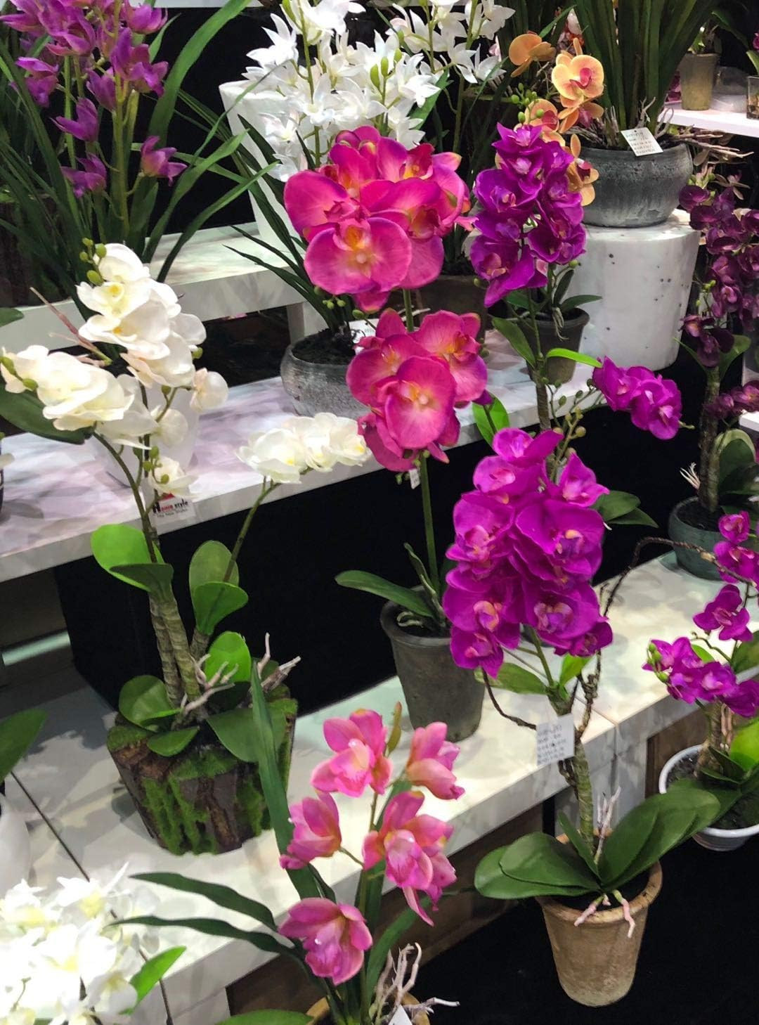 Gorgeous Pink Phalaenopsis Orchid Silk Plant with Real Touch Leaves 2.5