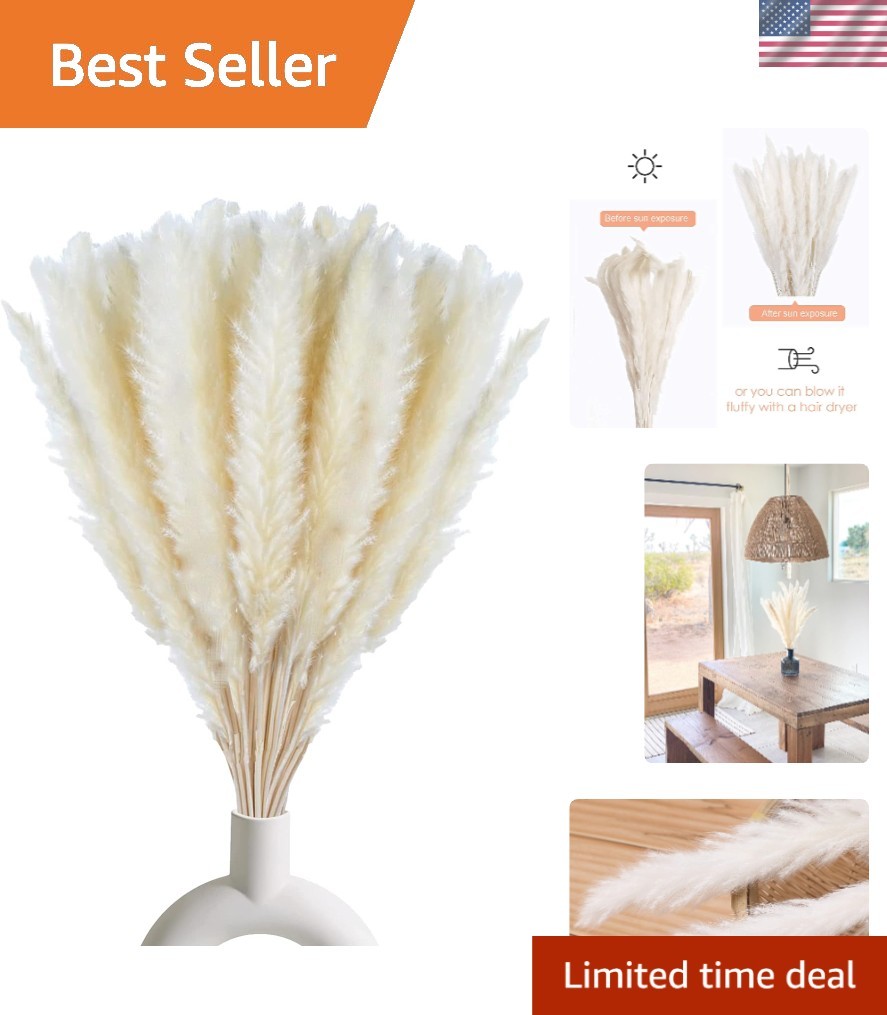 Elegant 30 Piece White Pampas Grass Set – 17 Inch Dried Decor for All Occasions