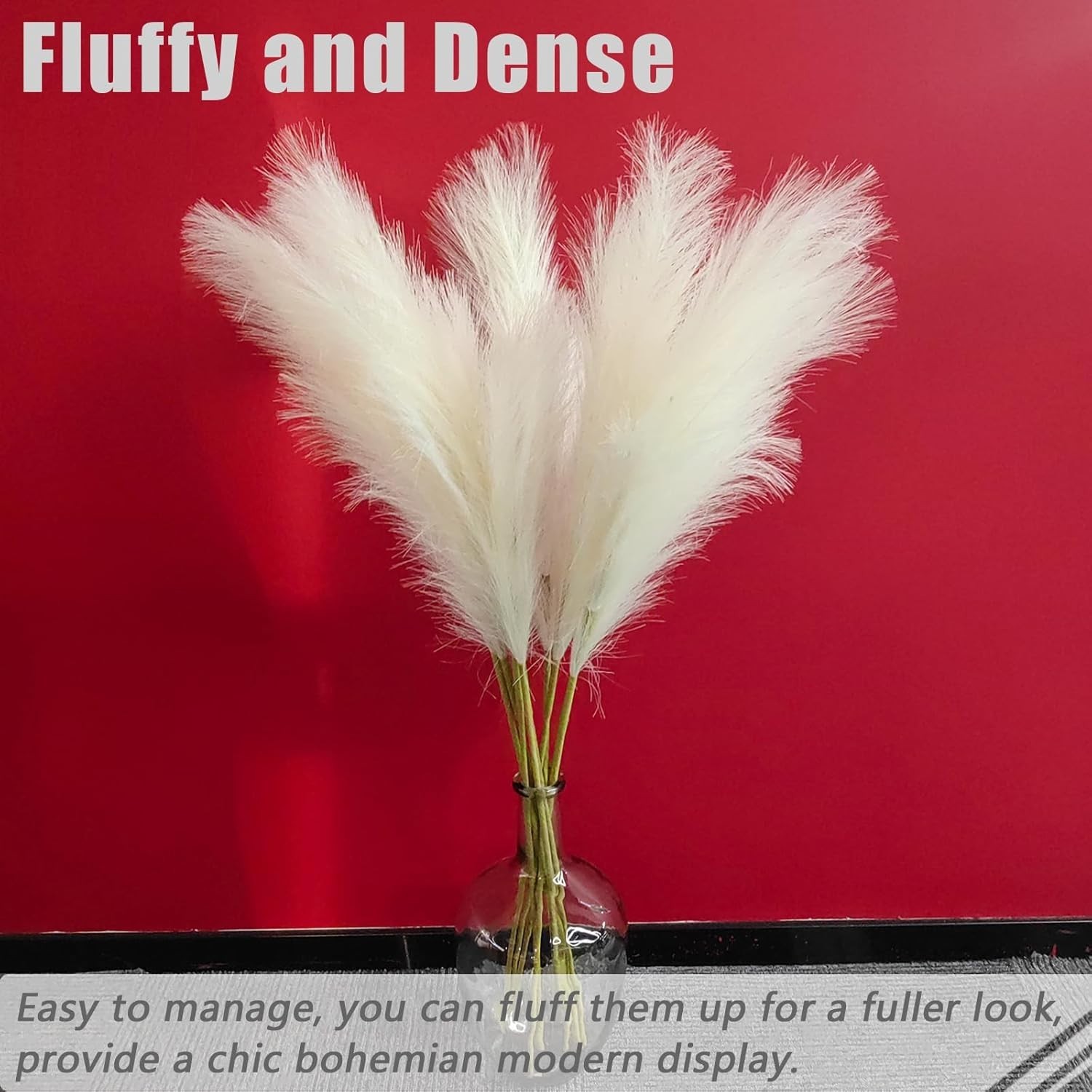 Stylish White Pampas Grass for Vase Decoration – 10 Stems