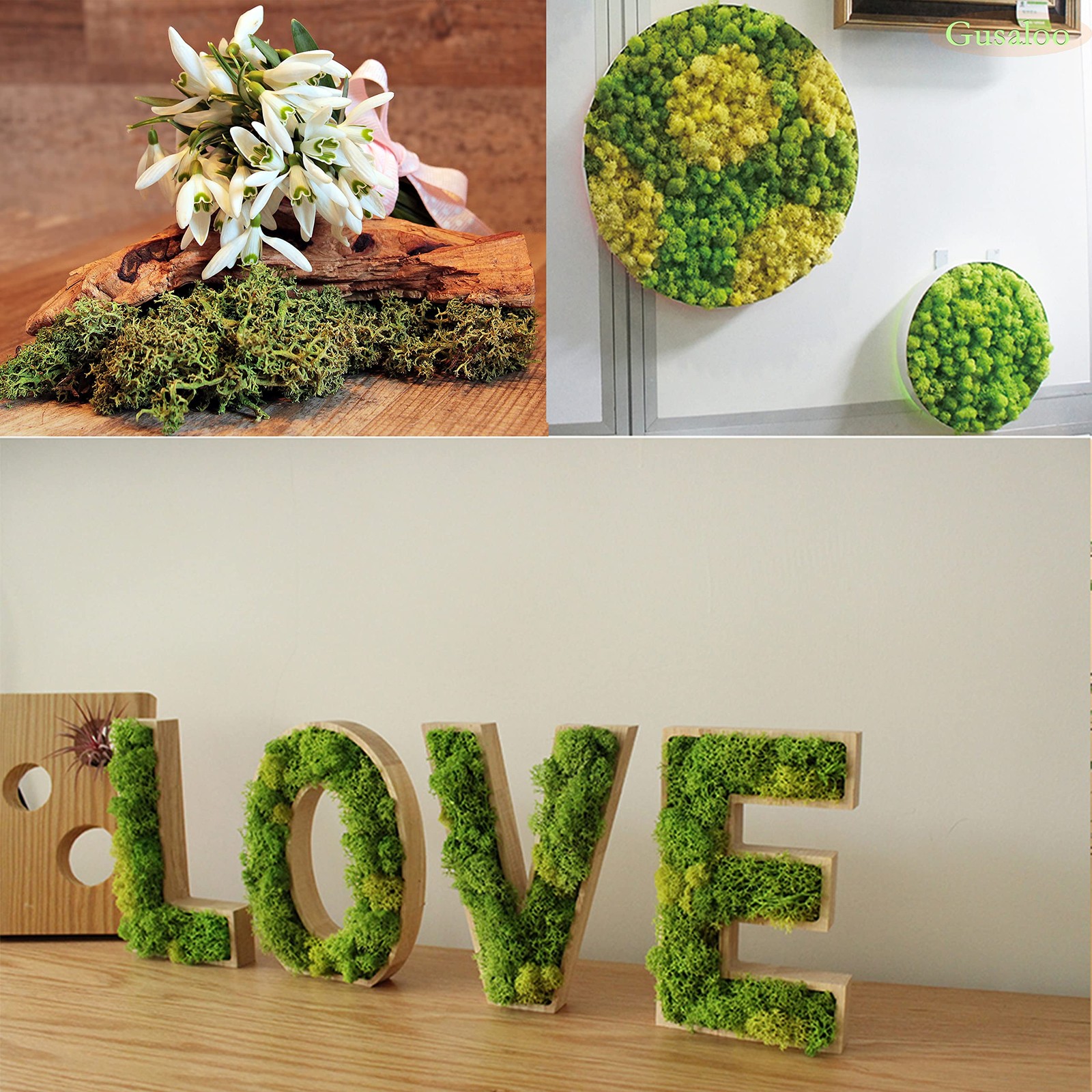 Preserved Moss 5oz Artificial Natural Fresh Green Moss for Craft Handicraft A…