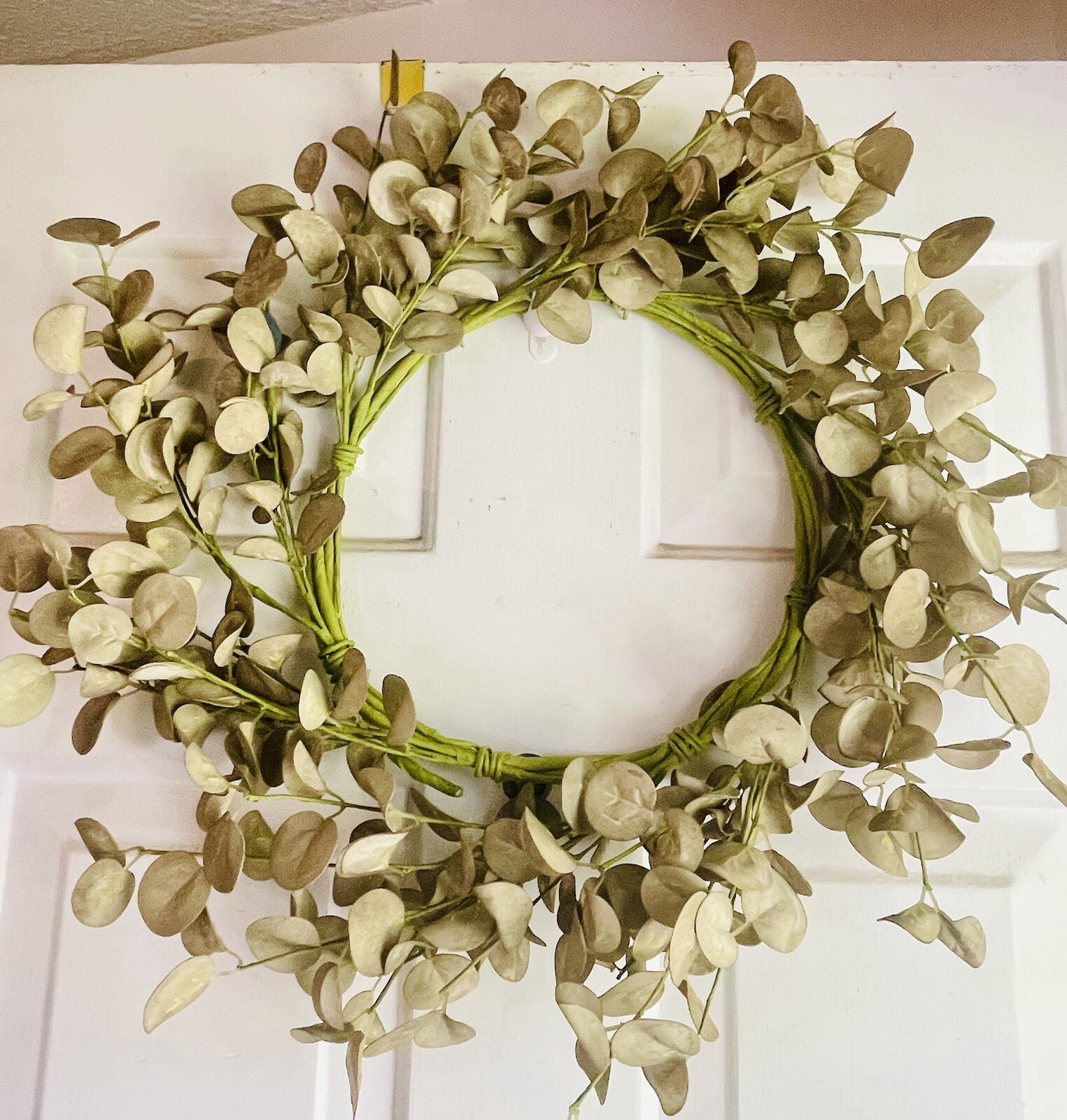 Foamy Silver Dollar Wreath, Sage, 20”
