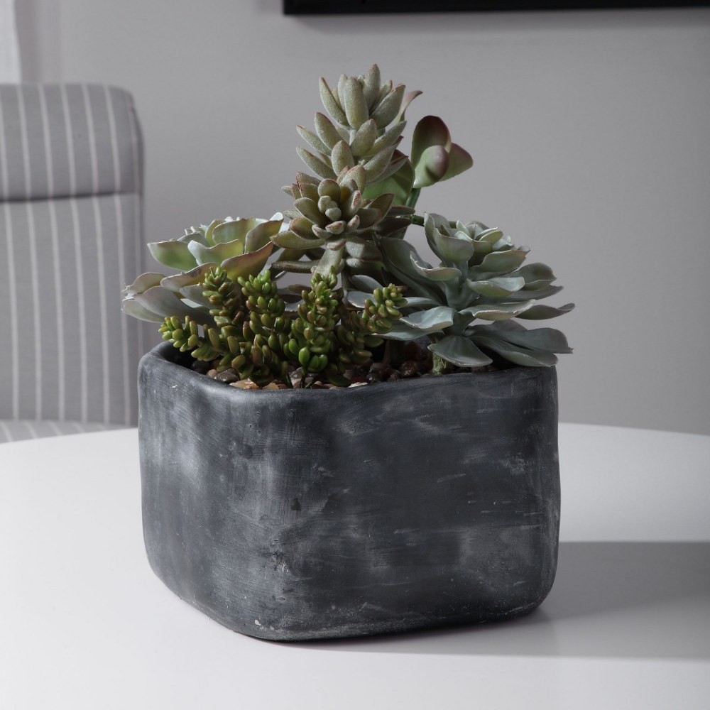 Glendower Crescent – 10 inch Desert Garden Succulents – Decor – Planters –