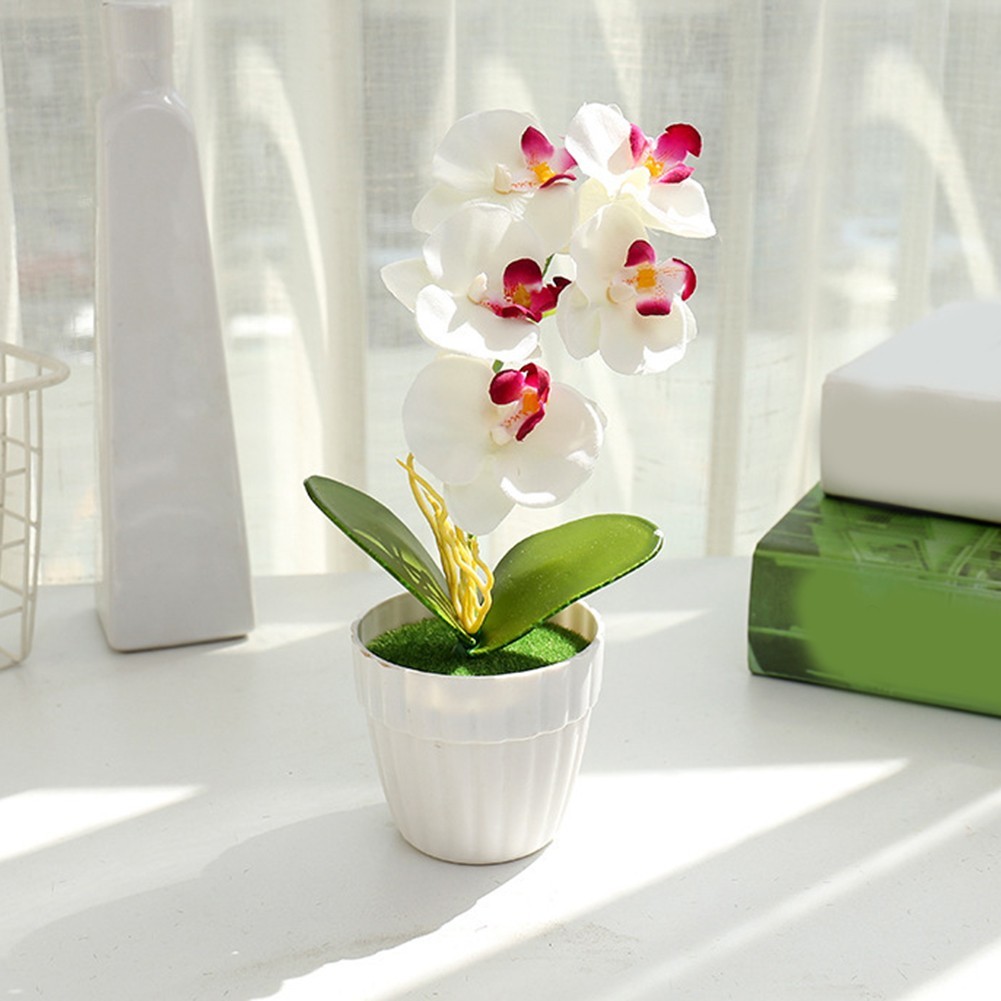 Small Simulation Phalaenopsis Bonsai Flower for Indoor Decorative Display