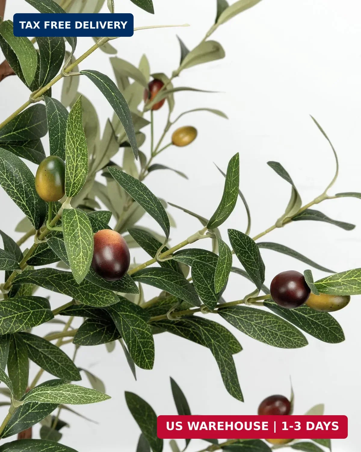 6FT Artificial Olive Tree – Indoor Tall Faux Olive Trees with Planter&Basket, La
