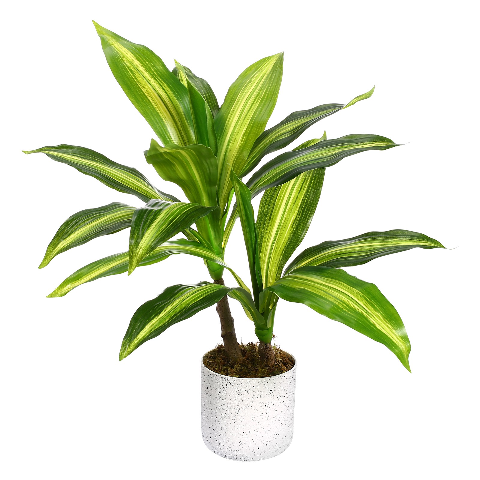 15.75″ Artificial Yellow Brazil Dracaena 1 Pot w/2 Lifelike Faux Tropical Plants