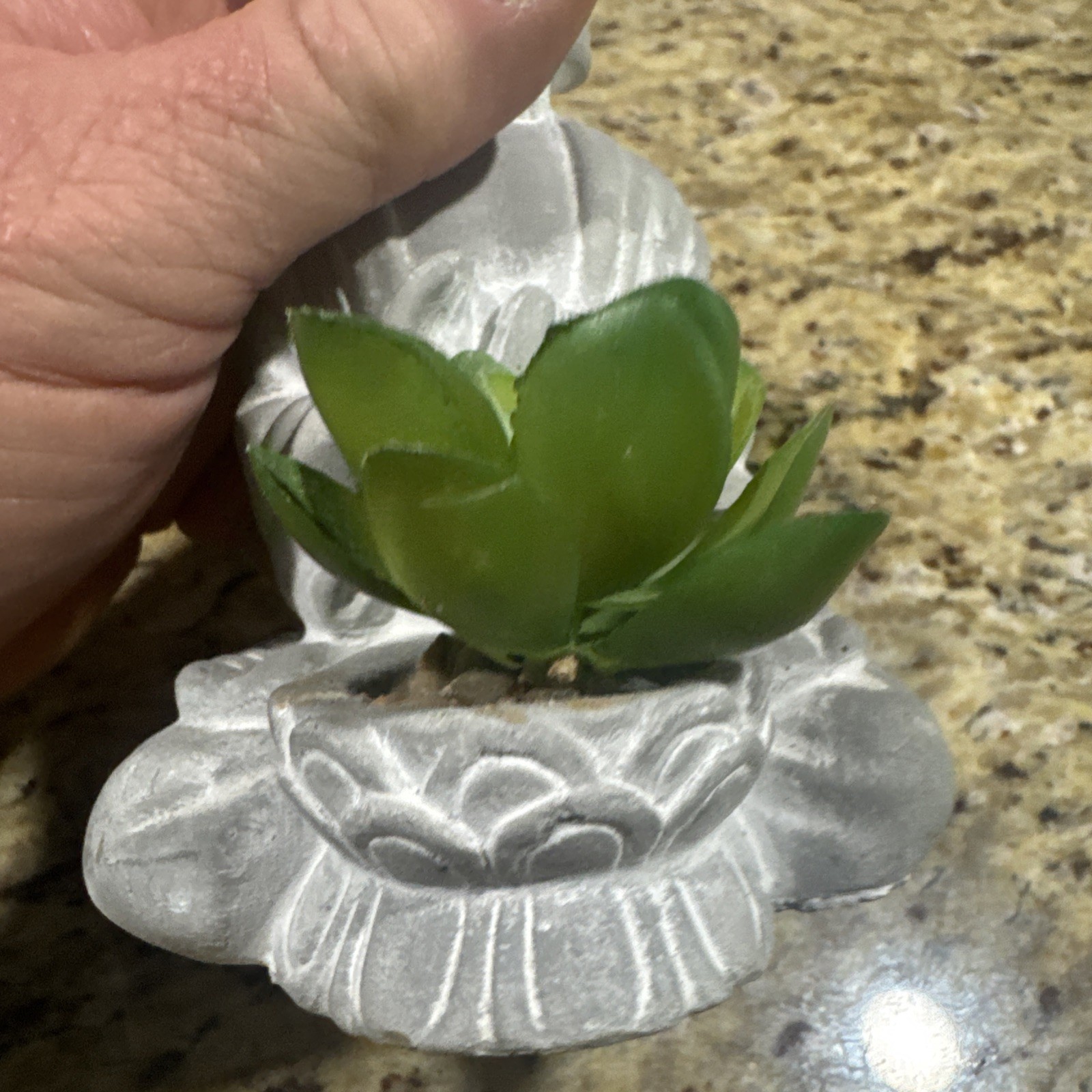 Budduah Plant Holder 6” Tall Succulent, Faux Plant Nice Cpix