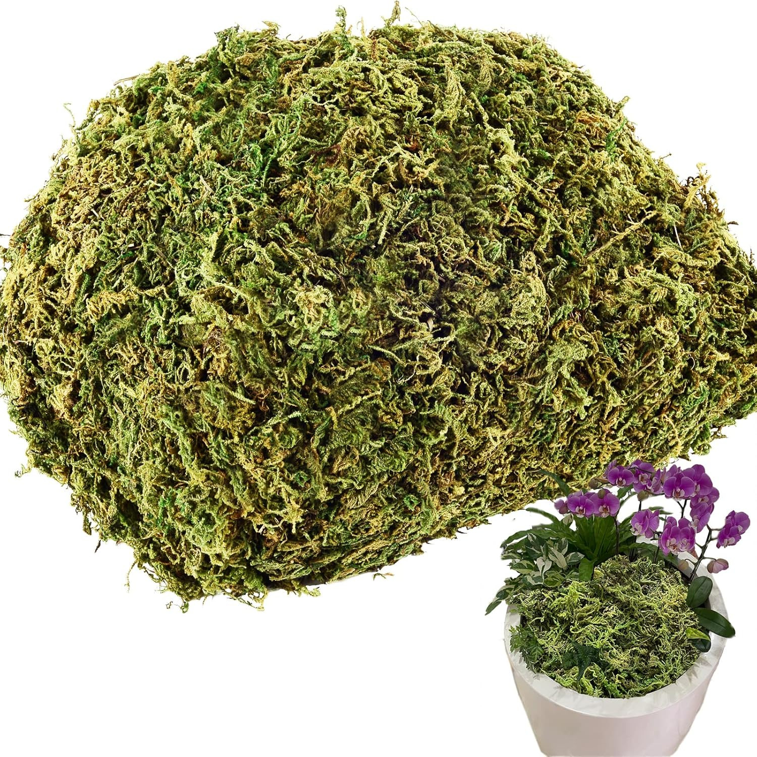 4.1OZ Fake Moss for Potted Plants and Fake Plants – Artificial Moss 4.1 Ounces