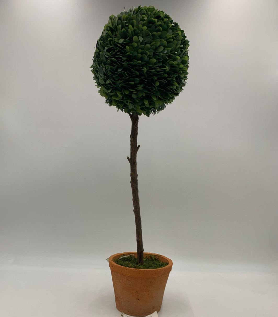 Pottery Barn Faux Potted Boxwood Ball Topiaries Green Medium #S9017