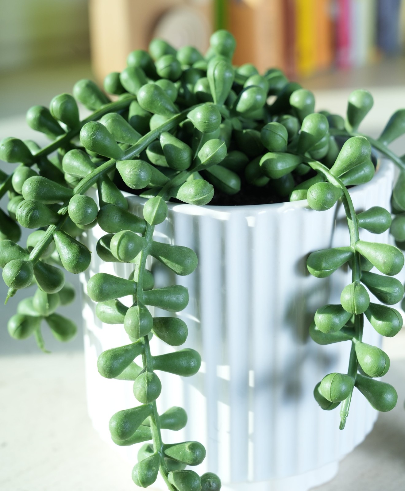 5.38” UV Protected Artificial String of Pearls in White Ceramic Pot Tabletops