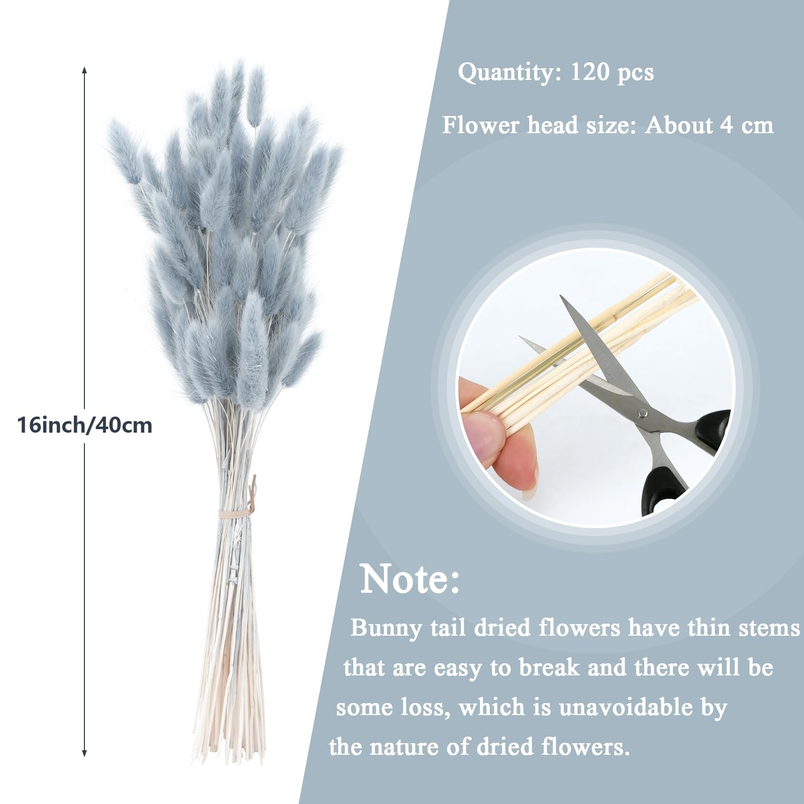 VirtuGro16IN 120pcs Blue Pampas Grass Bunny Tails Dried Flowers Rabbit Tails …